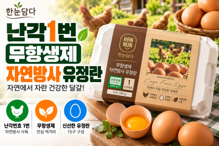 한눈담다 난각1번 무항생제 자연방사 유정란 15구 | 가격·사육환경·특징